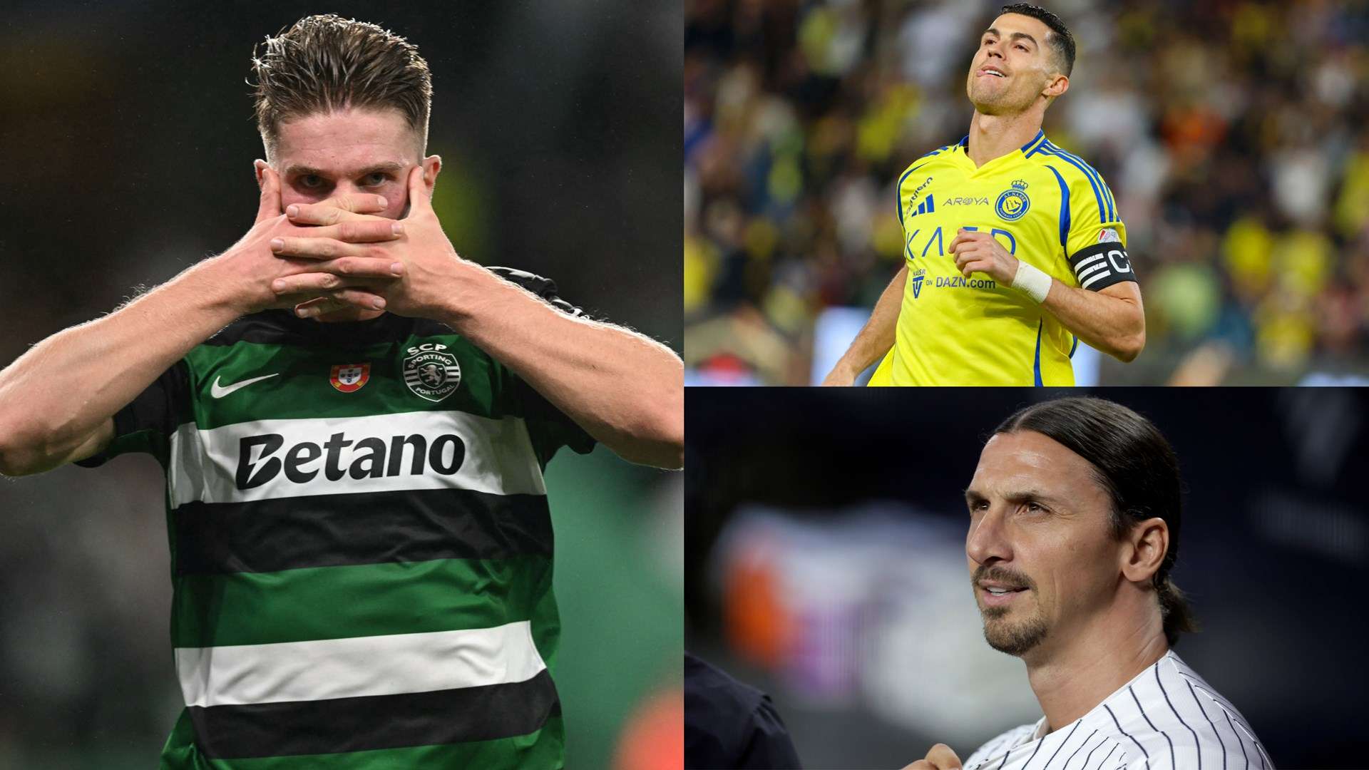 了当地的体 了当地的体